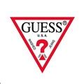 guess competitors